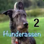 Hunderassen aus aller Welt iOS Icon