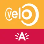Velo Antwerpen Icon