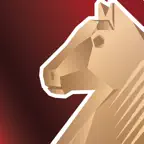 Casual Chess Icon