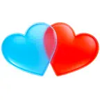 Pro Wedding Planner iOS Icon