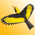 The Michael Morcombe and David Stewart eGuide to the Birds of Australia LITE iOS Icon