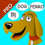 First Words Int. Pro HD iOS Icon