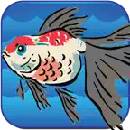 Kai Wen's Gold Fish Icon