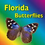 Southern Florida Butterflies iOS Icon