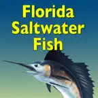 Florida Saltwater Fish iOS Icon