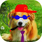 Draw On My Pics iOS Icon