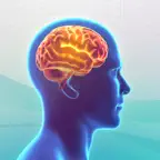 Trivia: Knowledge Trainer Quiz iOS Icon