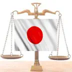 Japan Constitution iOS Icon