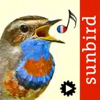 Chants d’oiseaux automatique icon
