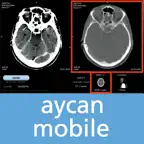 aycan mobile USA iOS Icon