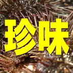 日本珍味事典 iOS Icon