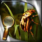 Treasure Island - The Golden Bug - Extended Edition - A Hidden Object Adventure iOS Icon