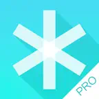 Password 4 Pro iOS Icon