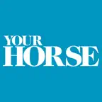 Your Horse iOS Icon