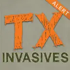 Texas Invaders iOS Icon