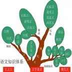 初中语文基础知识/作文/中考知识点大全 icon
