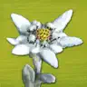 AlpineFlower Finder – Europe