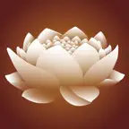 Nidra - Relax iOS Icon