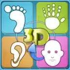 Total Reflexology-3D iOS Icon