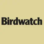 Birdwatch Magazine iOS Icon