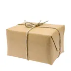 Pass The Parcel college iOS Icon