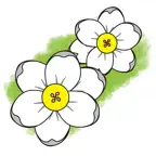 Hagen Din iOS Icon