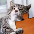 Cat Puzzles iOS Icon