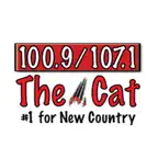 The Cat Albany iOS Icon