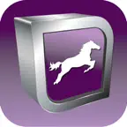 Equine Reproductive Ultrasound iOS Icon