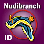 Nudibranch ID E Atlantic Med iOS Icon