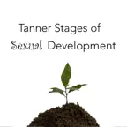 Tanner Stages iOS Icon