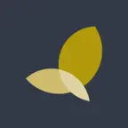 FocusXL Icon
