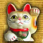 CatAndGold iOS Icon