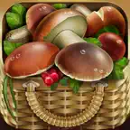 iГрибник: грибы и карта iOS Icon