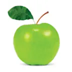 Whole Life Times magazine Icon