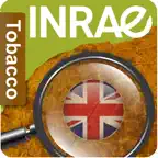 DiagnoPlantTobacco iOS Icon