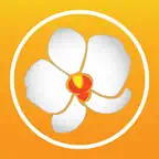 wTrendy iOS Icon