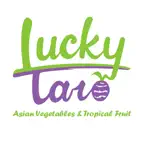 Lucky Taro iOS Icon