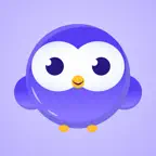 Bewize Révision Primaire Icon