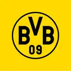 BVB eAcademy iOS Icon