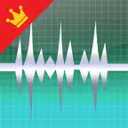 WavePad Professionale iOS Icon