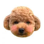 泰迪Poodle iOS Icon