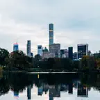 Birds of Central Park iOS Icon