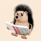 Hedgehog reader icon
