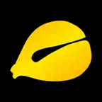 木鱼 - 静修念经修佛小助手 iOS Icon