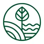 Burri & Achermann iOS Icon