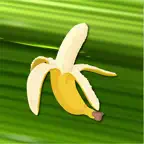 Banano Manager iOS Icon