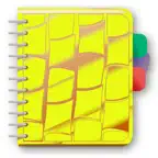 Caderno de 20 Matérias iOS Icon