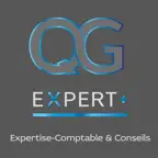 QG EXPERT 971 iOS Icon