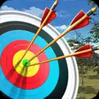 Archery Bow Tournament iOS Icon